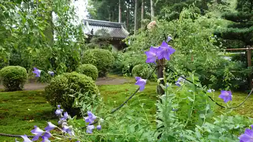 國分寺(高知県)
