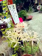 源九郎稲荷神社の自然