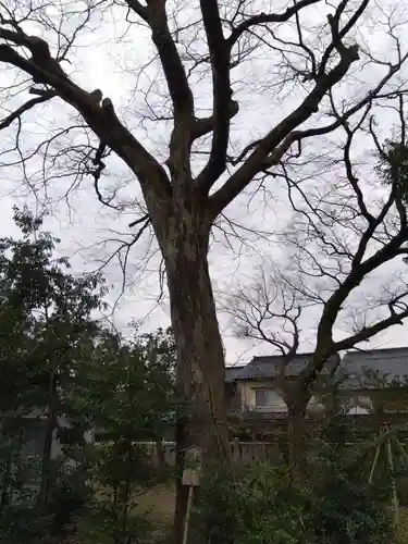 伊勢玉神社(富山県)