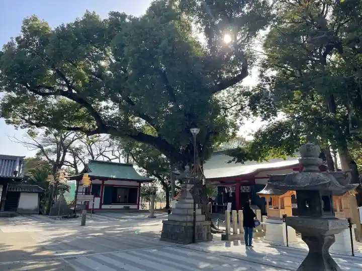 大依羅神社(大阪府)