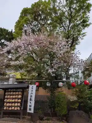 桜神宮(東京都)