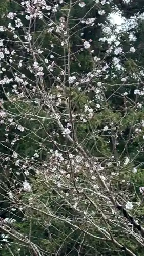 大山阿夫利神社(神奈川県)