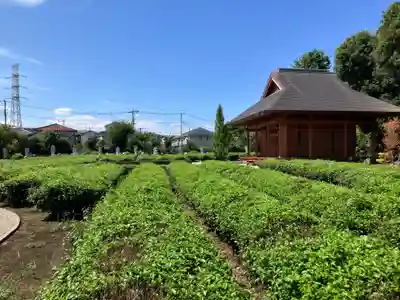 普門院(埼玉県)