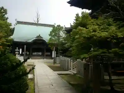 千光寺の本殿・本堂