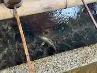 津島神社(愛知県)