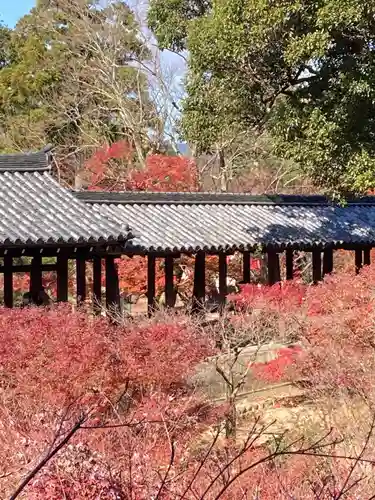 東福禅寺（東福寺）のその他建物