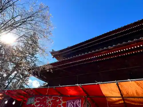 信濃國分寺の本殿・本堂
