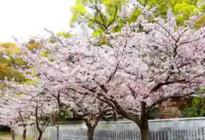 三津厳島神社の自然(2021年03月31日(水) 07時00分28秒投稿)