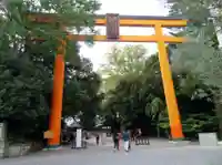 川越氷川神社の鳥居