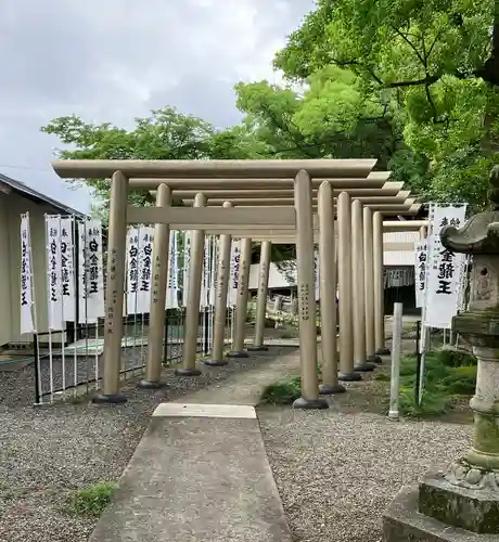 白金龍王社の鳥居