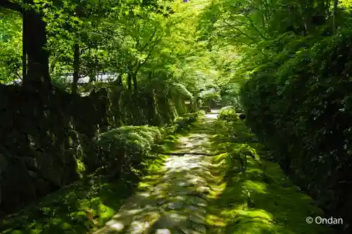 金剛輪寺(滋賀県)