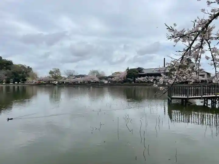 厳島神社 谷弁財天の{uncategorized: "未分類", other: "その他", undefined: "問題あり", building: "その他建物", grave: "お墓", sacred_gate: "鳥居", guardian: "狛犬", statue: "像", buddha: "仏像", history: "歴史", nature: "自然", garden: "庭園", animal: "動物", pagoda: "塔", temizu: "手水舎", mountain_gate: "山門・神門", sanctuary: "本殿・本堂", subordinate: "末社・摂社", art: "芸術", scenery: "景色", jizo: "地蔵", ema: "絵馬", goshuin: "御朱印", omikuji: "おみくじ", items: "授与品その他", amulet: "お守り", goshuincho: "御朱印帳", eats: "食事", festival: "お祭り", votive_dance: "神楽", shichigosan: "七五三参", wedding: "結婚式", experience: "体験その他", initially: "初詣", around: "周辺", anti_infection: "感染症対策"}