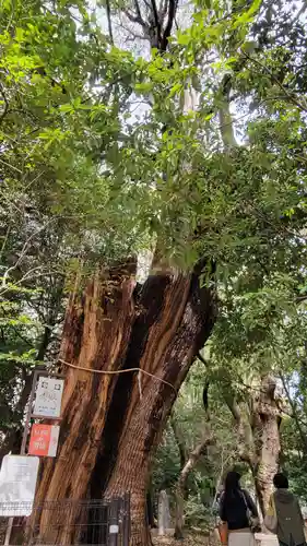 生田神社(兵庫県)