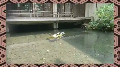 金刀比羅神社(東京都)