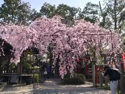 水火天満宮の{uncategorized: "未分類", other: "その他", undefined: "問題あり", building: "その他建物", grave: "お墓", sacred_gate: "鳥居", guardian: "狛犬", statue: "像", buddha: "仏像", history: "歴史", nature: "自然", garden: "庭園", animal: "動物", pagoda: "塔", temizu: "手水舎", mountain_gate: "山門・神門", sanctuary: "本殿・本堂", subordinate: "末社・摂社", art: "芸術", scenery: "景色", jizo: "地蔵", ema: "絵馬", goshuin: "御朱印", omikuji: "おみくじ", items: "授与品その他", amulet: "お守り", goshuincho: "御朱印帳", eats: "食事", festival: "お祭り", votive_dance: "神楽", shichigosan: "七五三参", wedding: "結婚式", experience: "体験その他", initially: "初詣", around: "周辺", anti_infection: "感染症対策"}