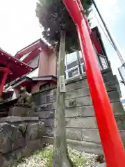 一本杉稲荷神社(埼玉県)