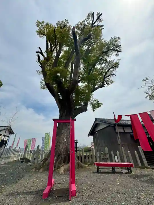 玉田神社(京都府)