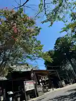 賀茂別雷神社(栃木県)