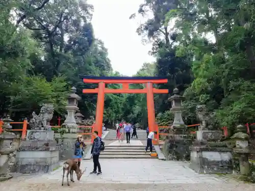 春日大社の鳥居