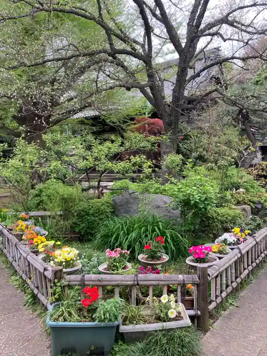 薬王寺(神奈川県)