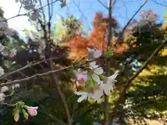 普門寺(切り絵御朱印発祥の寺)(愛知県)