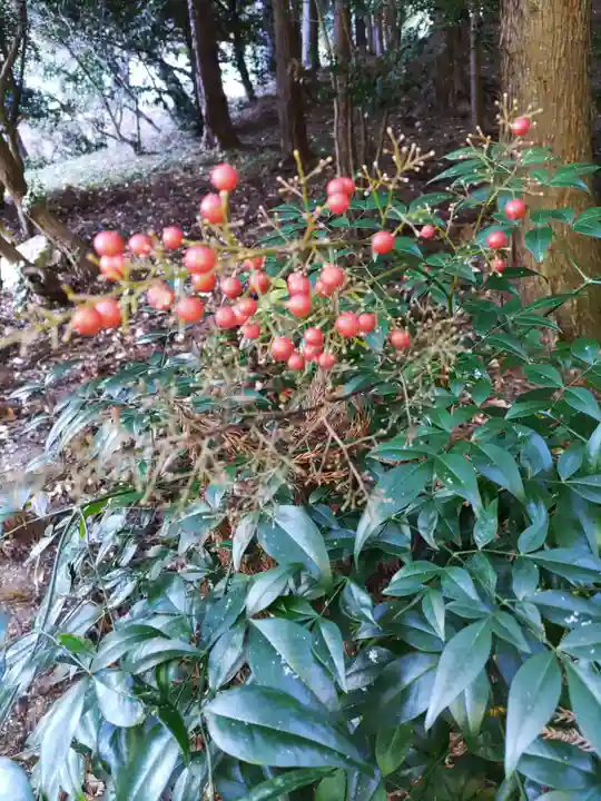 鹿島大神宮(福島県)