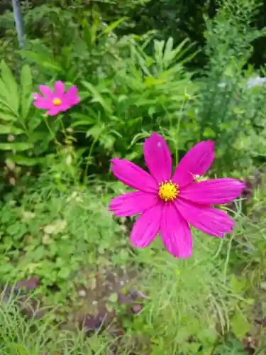 士別神社(北海道)