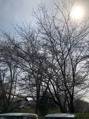 櫻木神社(千葉県)