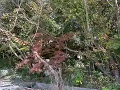 自凝島神社(兵庫県)