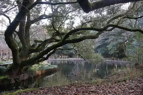 宮崎神宮(宮崎県)