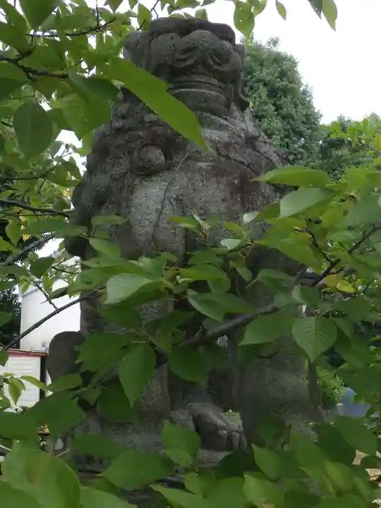 新日吉神宮の狛犬