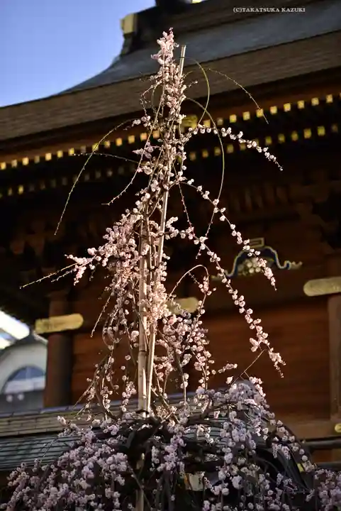 湯島天満宮(東京都)