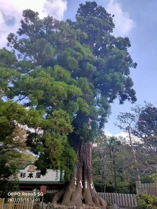 筑波山神社の自然
