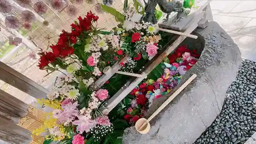 彌彦神社　(伊夜日子神社)の手水舎