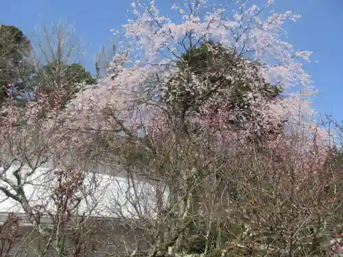 松尾寺(京都府)