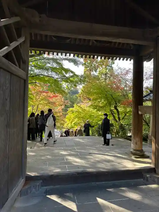 円覚寺(神奈川県)
