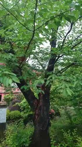 甲斐善光寺(山梨県)