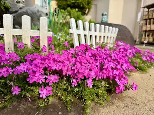 福王山  慈眼寺(東京都)