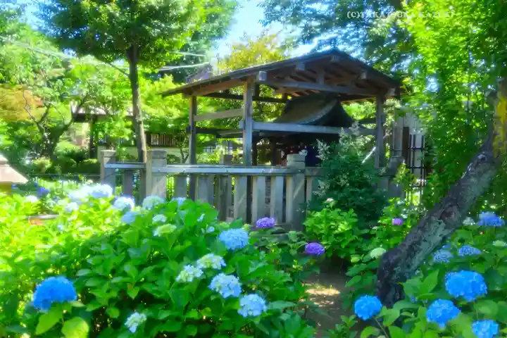 白山神社(東京都)