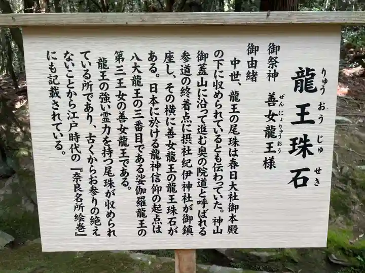 龍王珠石(奈良県)