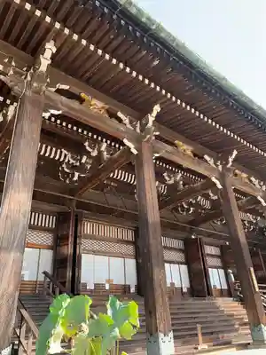 本山専修寺の本殿・本堂