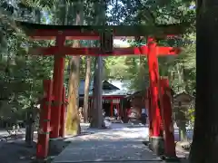 椿岸神社の鳥居