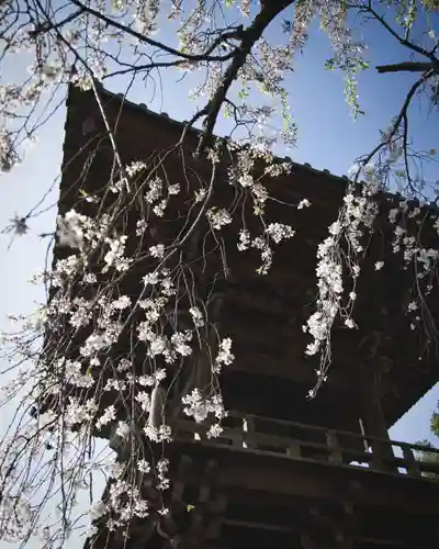 慈眼寺(群馬県)