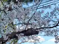 天が岡若宮神社の自然