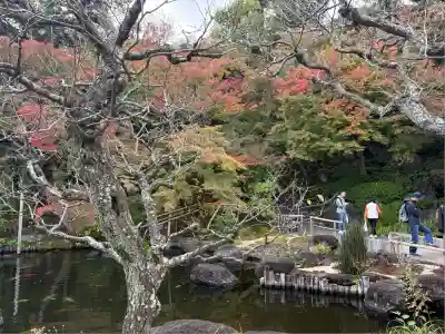 長谷寺(神奈川県)