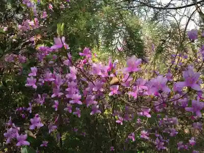 御上神社奥宮(滋賀県)