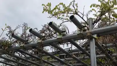 大松禅寺(京都府)