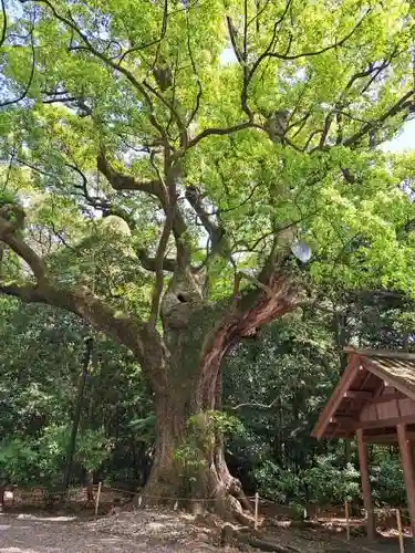 月夜見宮（豊受大神宮別宮）(三重県)