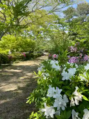 宮尾八幡宮の自然