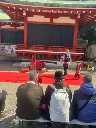 浅草神社の動物